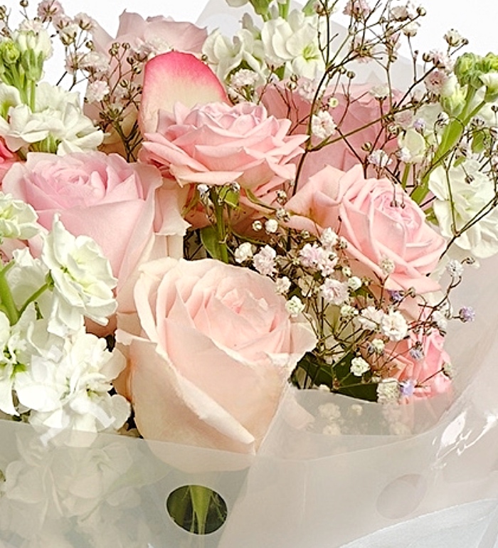 Bazaart_4D885005-F744-4BDA-8A98-6E11F0A901CB.jpeg