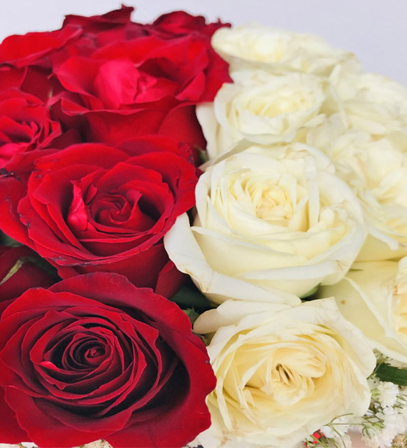 Siyah_kutuda_kirmizi_beyaz_güller_23102023_1550_4.jpg