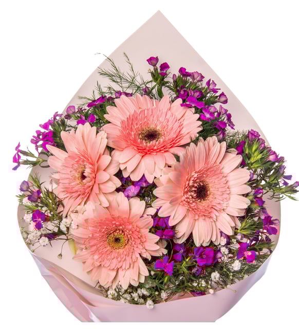 pembe_gerbera_hüsnüyusuf_08022025_02.jpeg