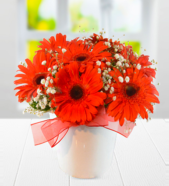 seramik_vazoda_kirmizi_gerbera_23032023_1820_1.jpg