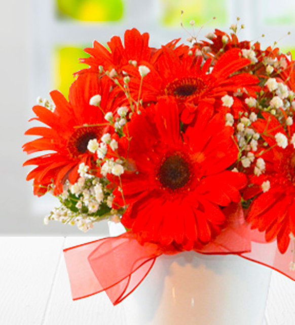 seramik_vazoda_kirmizi_gerbera_23032023_1820_2.jpg