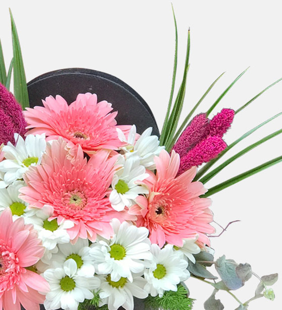 siyah_kutuda_pembe_gerbera_papatyalar_2_30042024.jpg