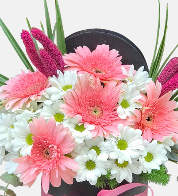 siyah_kutuda_pembe_gerbera_papatyalar_3_30042024.jpg
