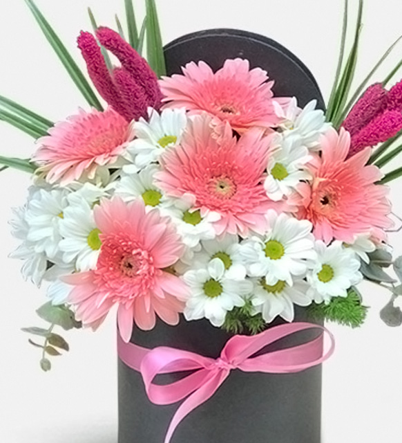 siyah_kutuda_pembe_gerbera_papatyalar_4_30042024.jpg