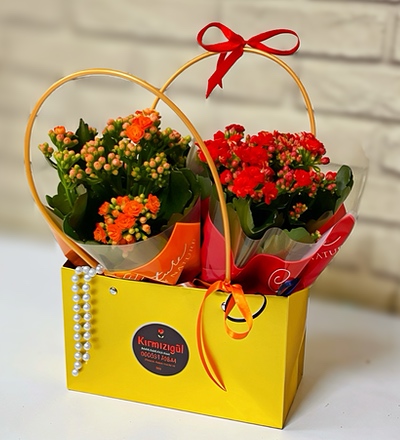 Bazaart_AC8EADF7-7D49-48FB-B7AB-C11EF27A75F1.jpeg
