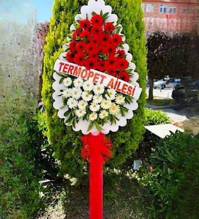 Bazaart_D0626B3A-74EF-4A53-A3FA-9F9E017C66C0.jpeg