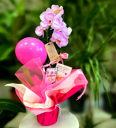 Bazaart_EAF0D158-6AD4-4EEE-92C3-FD78A1ED9367.jpeg
