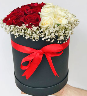 Siyah_kutuda_kirmizi_beyaz_güller_23102023_1550_mini.jpg