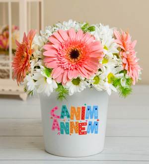 pembe-beyaz-gerbera-ve-papatyalar_mini_12052024.jpg