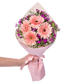 pembe_gerbera_hüsnüyusuf_08022025_mini.jpg