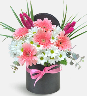 siyah_kutuda_pembe_gerbera_papatyalar_mini_30042024.jpg